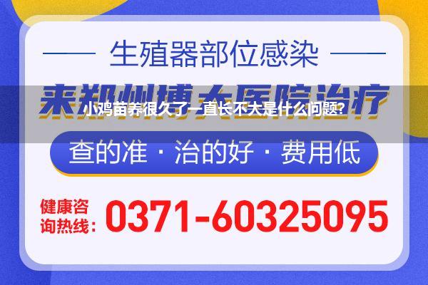 小鸡苗养很久了一直长不大是什么问题?